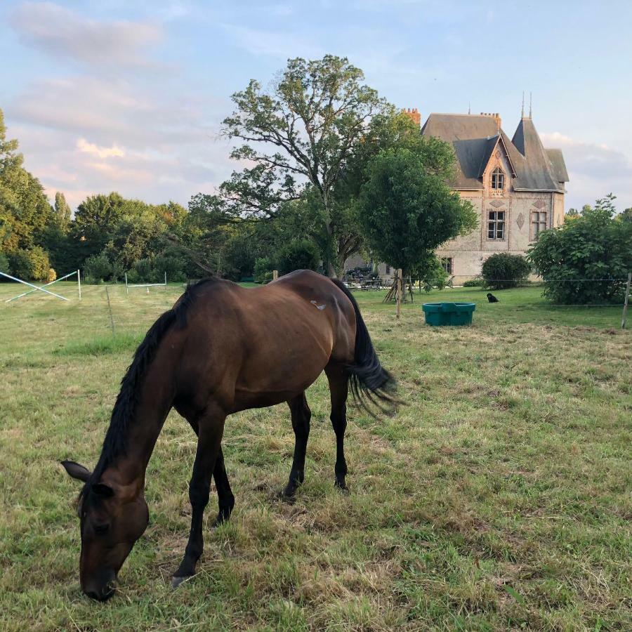 Manoir De La Chouanniere Montreuil-sur-Maine Exterior foto